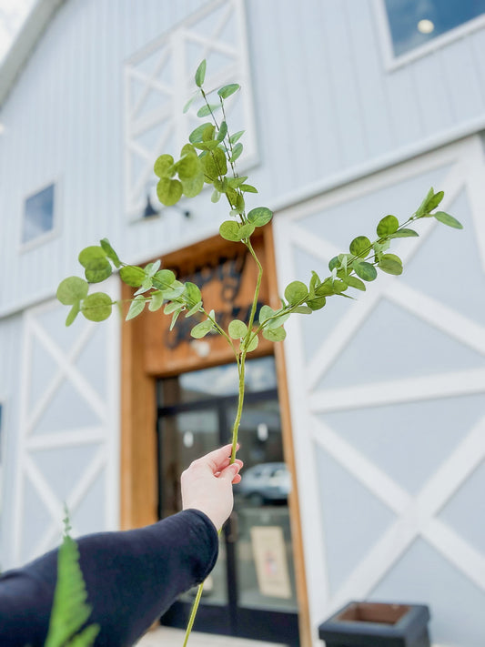 Eucalyptus Callum Stem